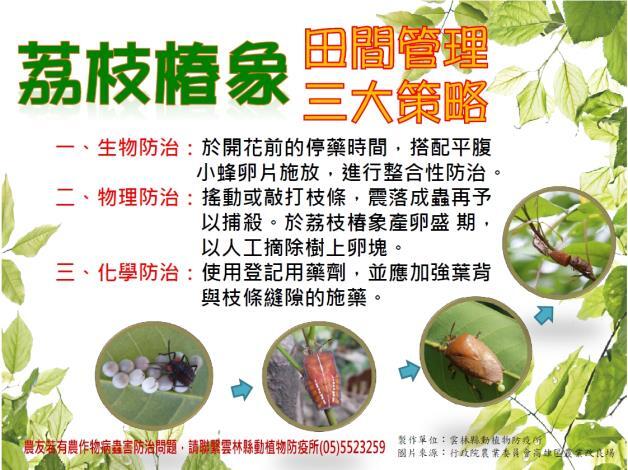 荔枝